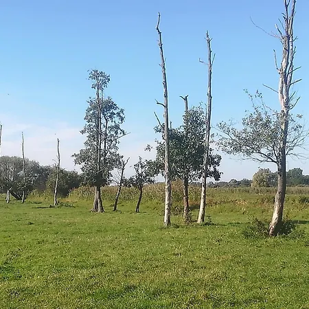 Elf Knusperhaeuschen Mitten Im Gruenen *